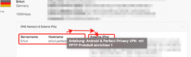 Perfect-Privacy VPN Server IP für PPTP herausfinden.