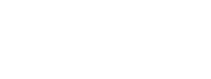 NordVPN Logo White