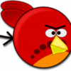 angry birds pixabay