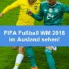 FIFA Fußball WM in Russland im Internet verfolgen