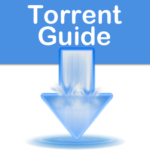 Die besten VPN Anbieter: Vergleichen und informieren! 49 Torrent Guide